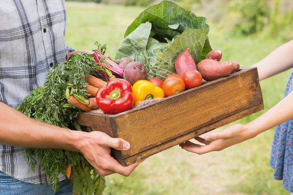 Qu’appelle-t-on « Démarche Alimentaire de Territoire » ?